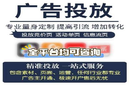竞价托管服务案例解析